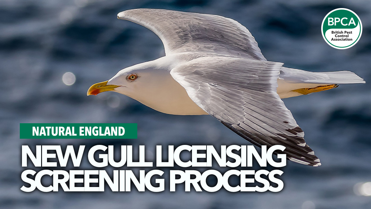natural-england-screening-process natural-england-screening-process